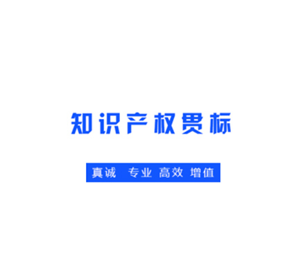 GB29490知識產(chǎn)權(quán)管理體系(貫標(biāo))
