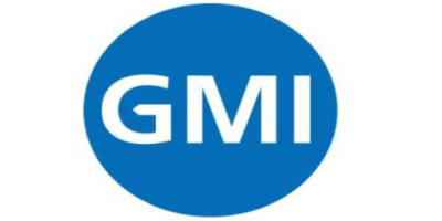 GMI提出的認(rèn)證模式主要有哪些？