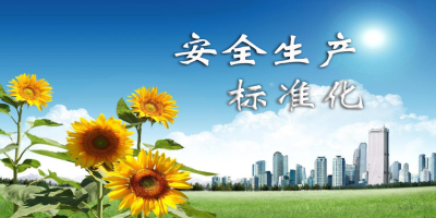 什么是安全生產(chǎn)標(biāo)準(zhǔn)化？
